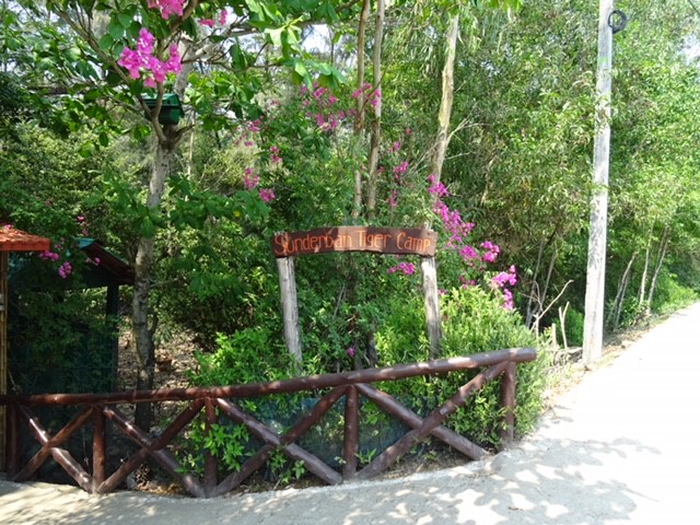 Sunderban Tiger Camp, Sundarbans, reis, bootsafari