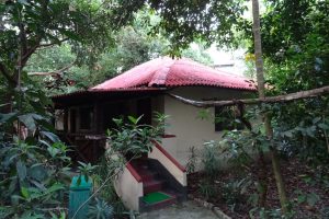 Sunderban Tiger Camp, Sundarbans, reis, bootsafari