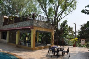 The Fern, lodge Gir