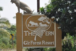 The Fern, lodge Gir