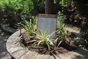 The Fern, lodge Gir