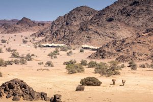 safari kaokoveld, safari namibie, fly in namibie, skeleton coast, wilderness safaris