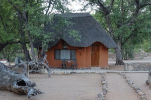 Hobatere, safari estosha, galton gate, reis namibie