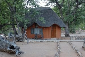 Hobatere, safari estosha, galton gate, reis namibie