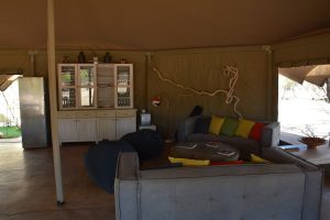 safari woestijnloifanten, SRT, Malansrus, damaraland reis, reis Namibie, twijfelfontein