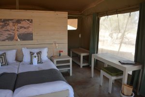 safari woestijnloifanten, SRT, Malansrus, damaraland reis, reis Namibie, twijfelfontein