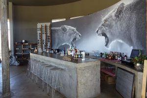 Naankuse Lodge, Naankuse Foundation, Namibie reis