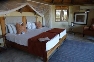 Ongava, Namibie reis, safari Ongava