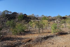 Ongava, Namibie reis, safari Ongava