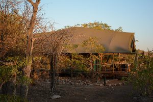 Ongava, Namibie reis, safari Ongava