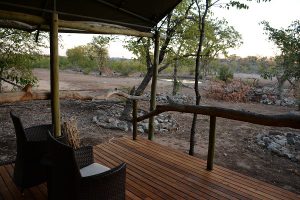 Ongava, Namibie reis, safari Ongava