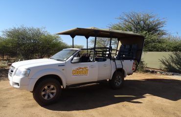 cheetah view lodge ccf