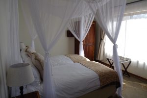 Cheetah View Lodge, CCF