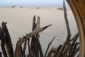 Shipwreck Lodge, reis Skeleton Coast, Namibie safari