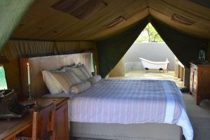 safari Botswana