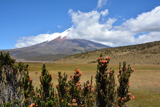 Cotopaxi © All for Nature Travel