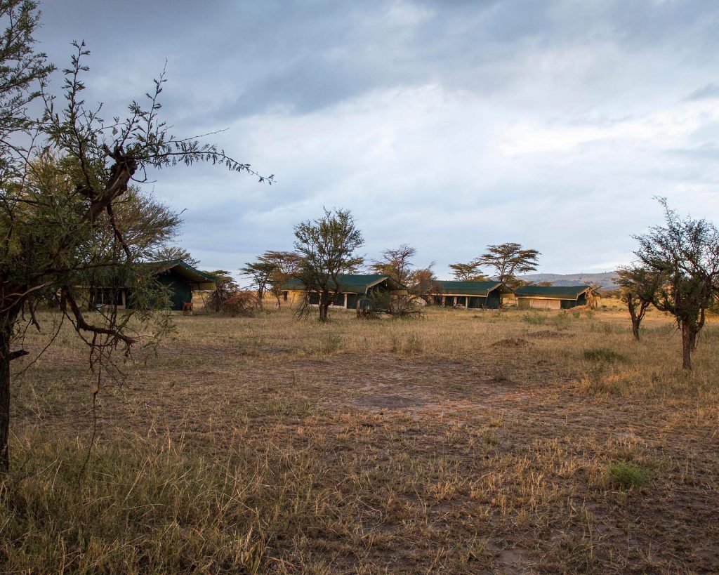 Nasikia Mobile tented camp, migratie safari tanzania, serengeti safari