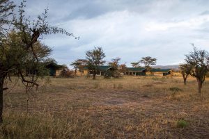 Nasikia Mobile tented camp, migratie safari tanzania, serengeti safari