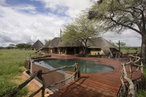 Okonjima private villa, safari namibie, africat foundation