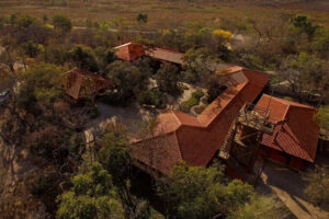 natuurreis brazilie, manenwolf, cerrado