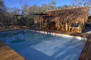 natuurreis brazilie, manenwolf, cerrado