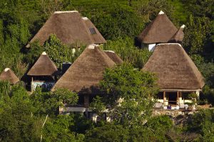 Bwindi Lodge, gorilla trekking, bwindi safari, berggorilla