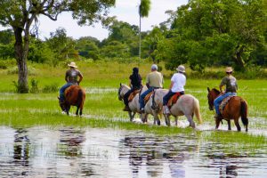 Araras Eco Lodge, Brazilië, Pantanal