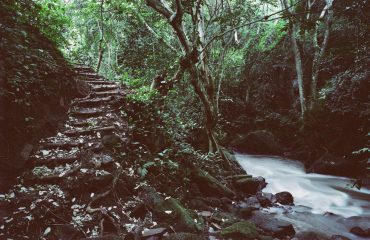Kyambura Gorge