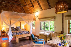 Bwindi Lodge, gorilla trekking, bwindi safari, berggorilla, volcanoes