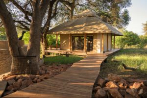 Comfortabel op safari