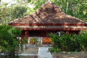 Satwa Birding Guesthouse, pension Sumatra, guesthouse Sumatra