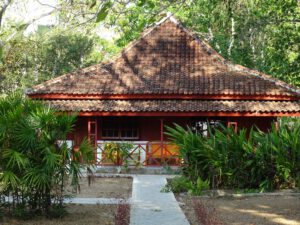 Satwa Birding Guesthouse, pension Sumatra, guesthouse Sumatra