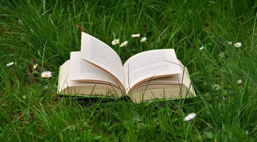 boek op gras
