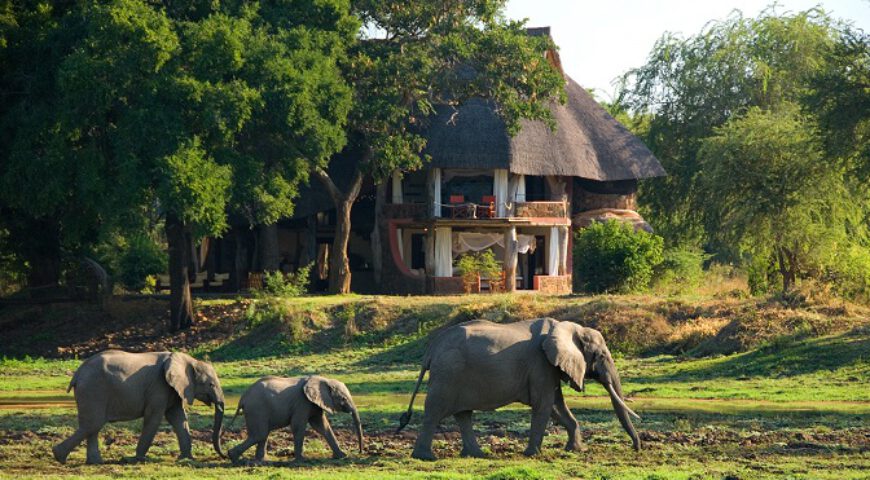Luangwa House Zambia