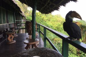 Kawarari, Sepik, sepik reis, paradijsvogel reis, PNG, papoea nieuw guinea reis