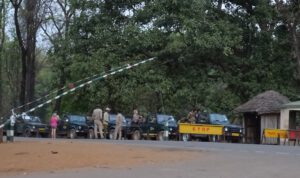 tijgersafari, kanha safari