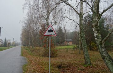 Bialowieza ©All for Nature Travel