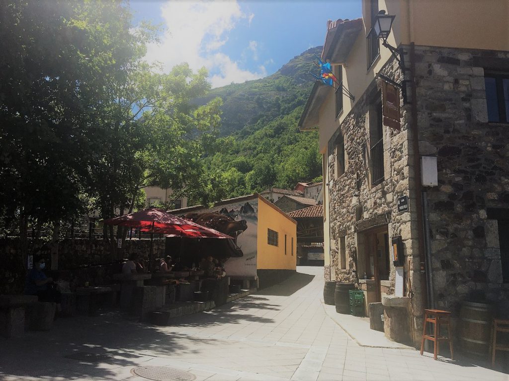 reis Spanje Cantabrisch gebergte, selfdrive Picos de EUropa, berenreis SPanje, wolvenreis spanje safari beer, safari wolf