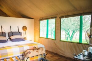 conservation safari, zuid-afrika safari, reis marataba, explorers camp