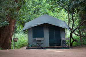 return africa, makuleke, safari afrika, wandelsafari