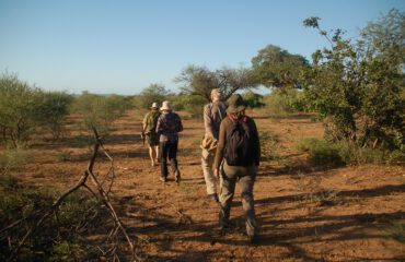 Wandelsafari Pafuri kruger ©All for Nature Travel