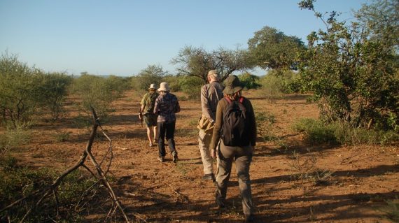 Wandelsafari Pafuri kruger ©All for Nature Travel