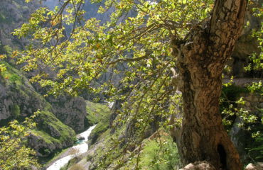 Landschap Asturie Spanje ©Ard Wagenaar