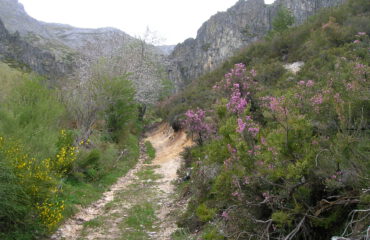 Landschap Asturie Spanje ©Ard Wagenaar