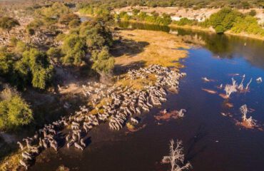 Meno a Kwena migratie