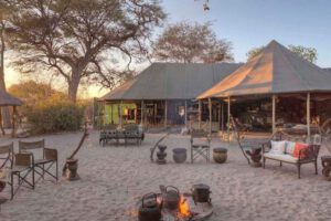 Natural Selection, Botswana reis, safari Okavango, safari Kalahari, safari Makgadikgadi Pans