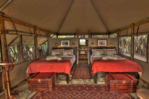 Natural Selection, Botswana reis, safari Okavango, safari Kalahari, safari Makgadikgadi Pans