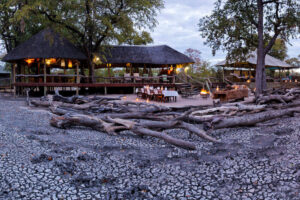 Natural Selection, Botswana reis, safari Okavango, safari Khwai safari, safari Okavango Delta