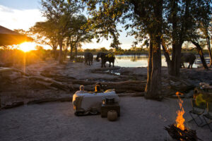 Natural Selection, Botswana reis, safari Okavango, safari Khwai safari, safari Okavango Delta