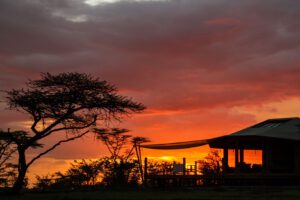 asecamp Leopard Hill, safari Kenia, lodge Kenia, Naboisho Conservancy